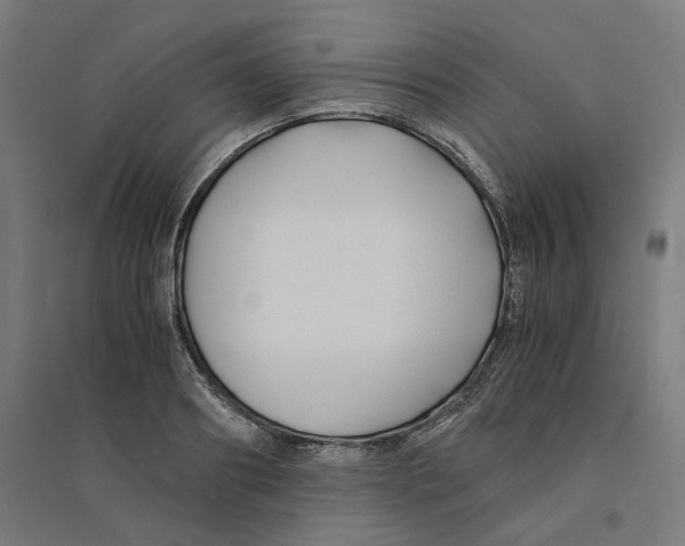 X0000094430890200712061111