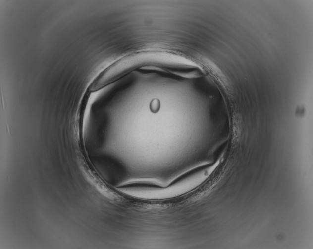 X0000094430892200712061111