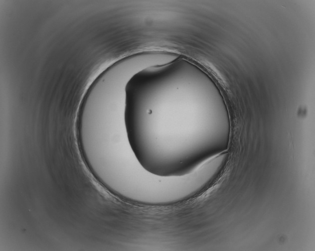 X0000094430893200712061111