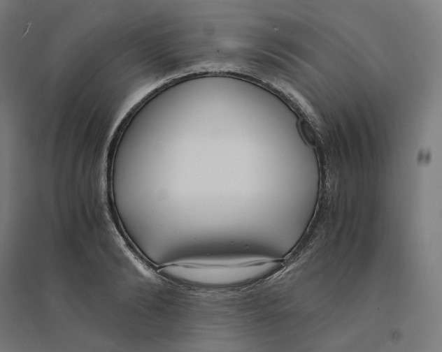 X0000094430894200712061111