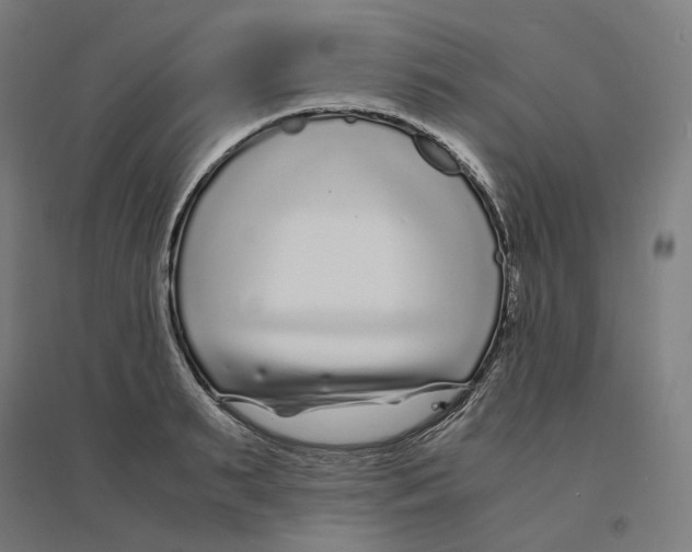 X0000094430895200712061111