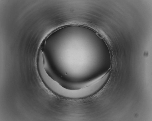 X0000094430896200712061111