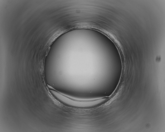 X0000094430897200712061111