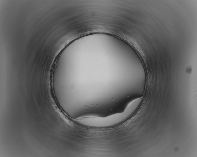 X0000094430898200712061111