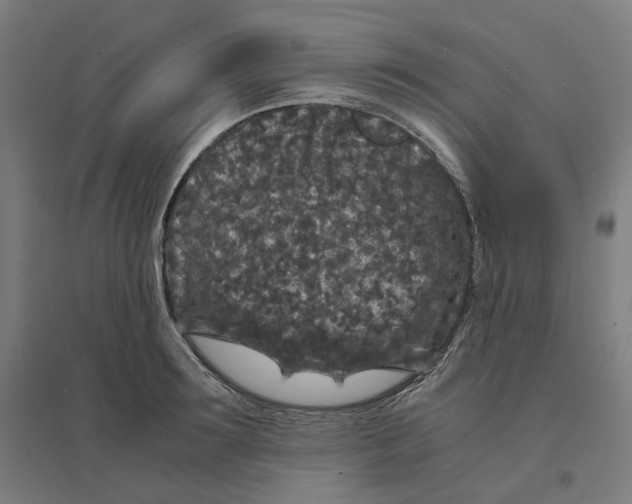 X0000094430899200712061111