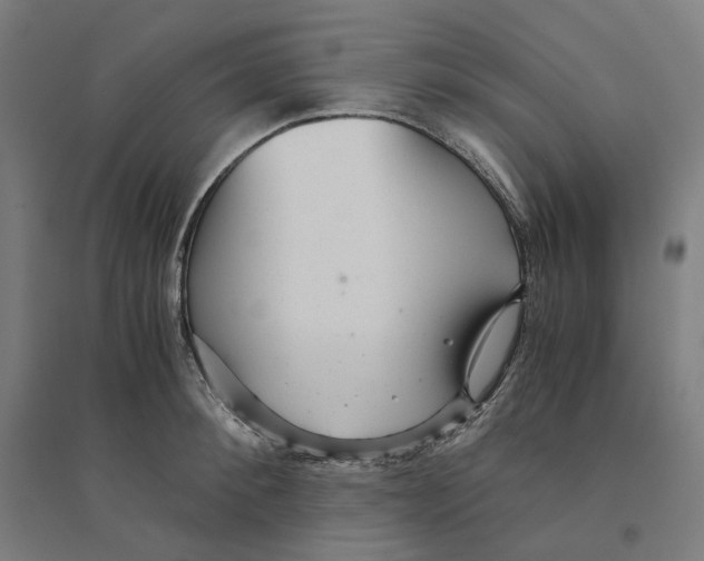 X0000094430900200712061111