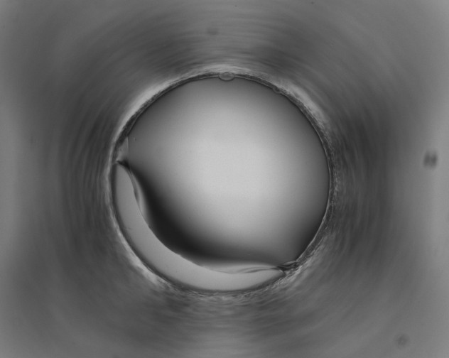 X0000094430902200712061111