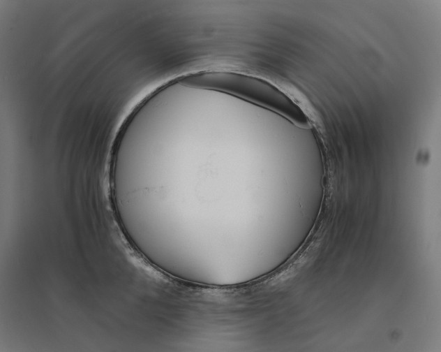 X0000094430904200712061111