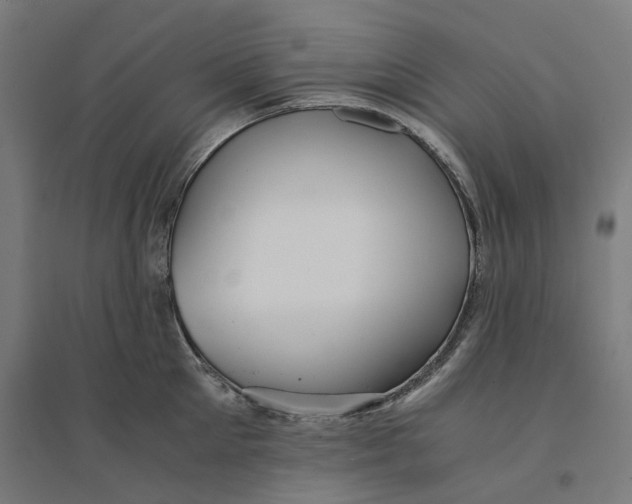 X0000094430905200712061111