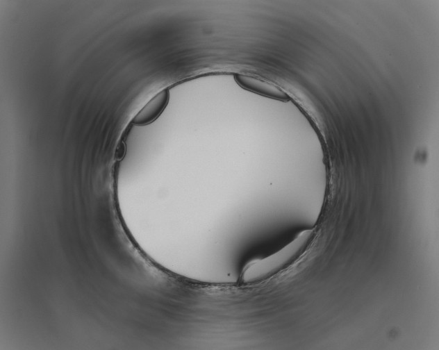 X0000094430906200712061111