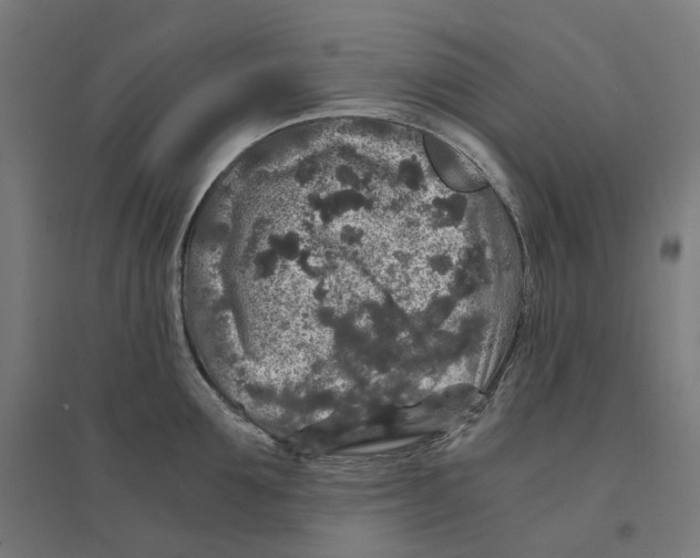 X0000094430907200712061111