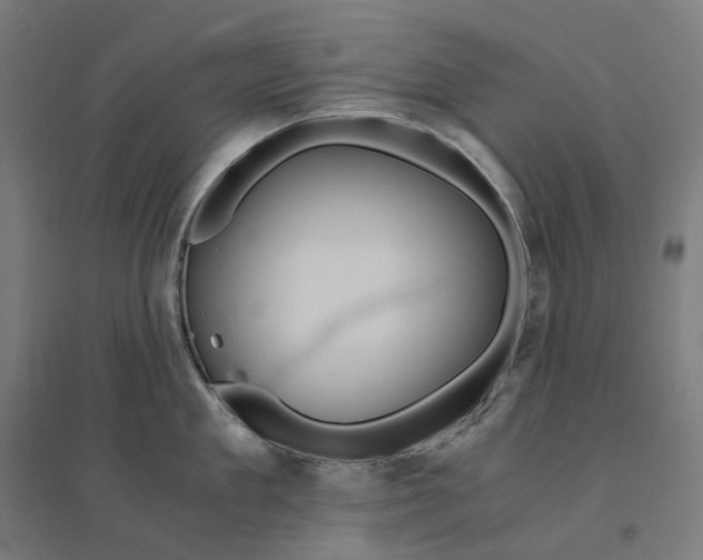 X0000094430909200712061111