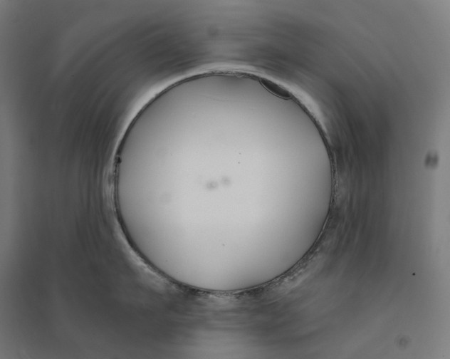 X0000094430911200712061111