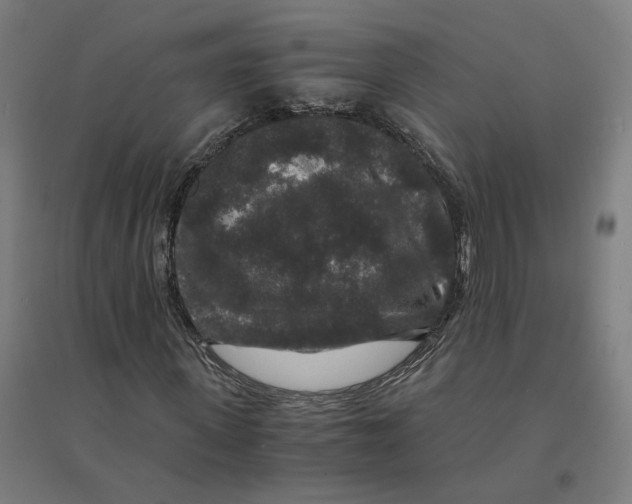 X0000094430915200712061110