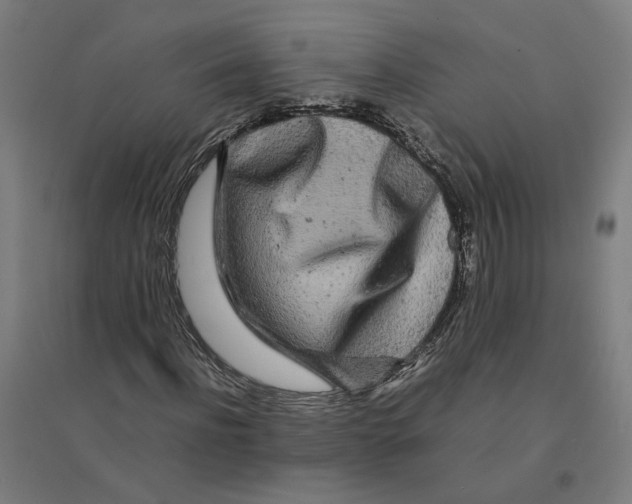 X0000094430916200712061110