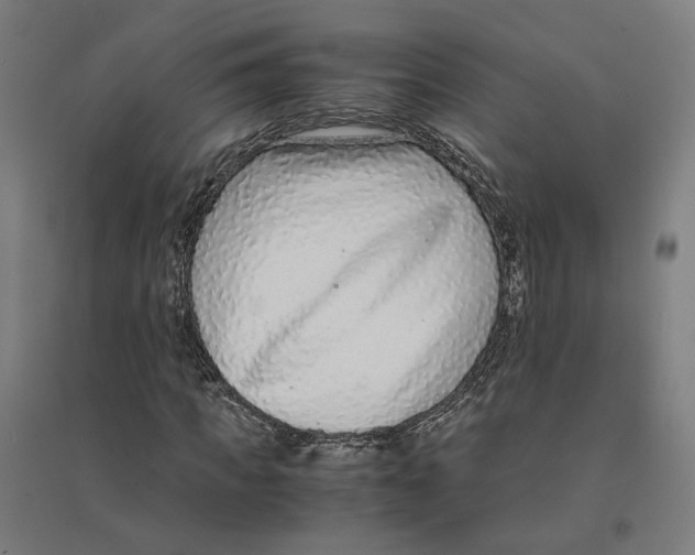 X0000094430917200712061110