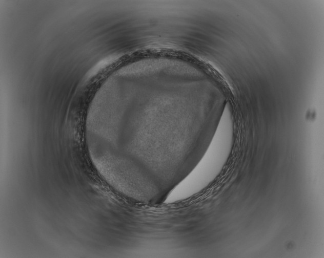 X0000094430919200712061110