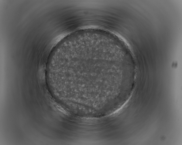 X0000094430921200712061110