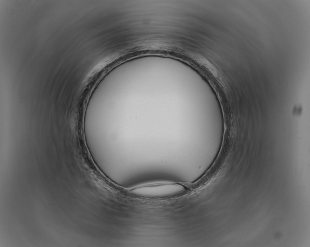 X0000094430922200712061110