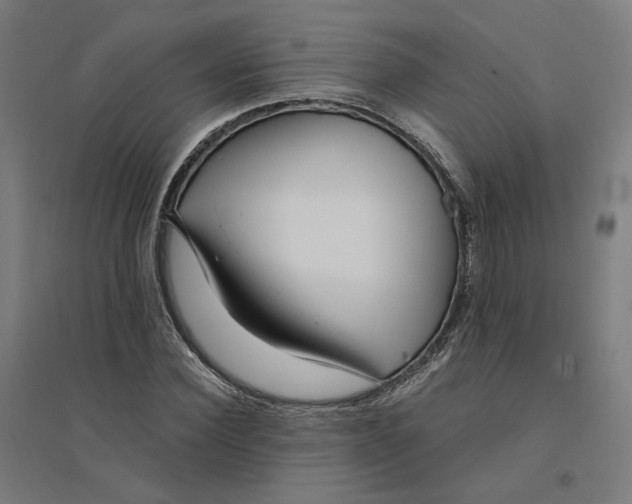 X0000094430924200712061110