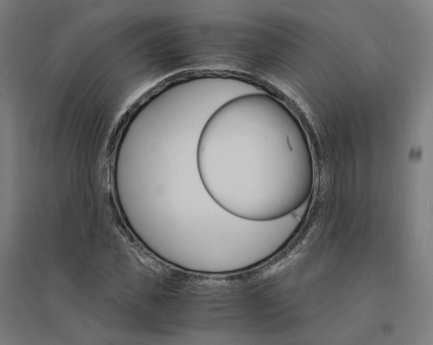 X0000094430925200712061110