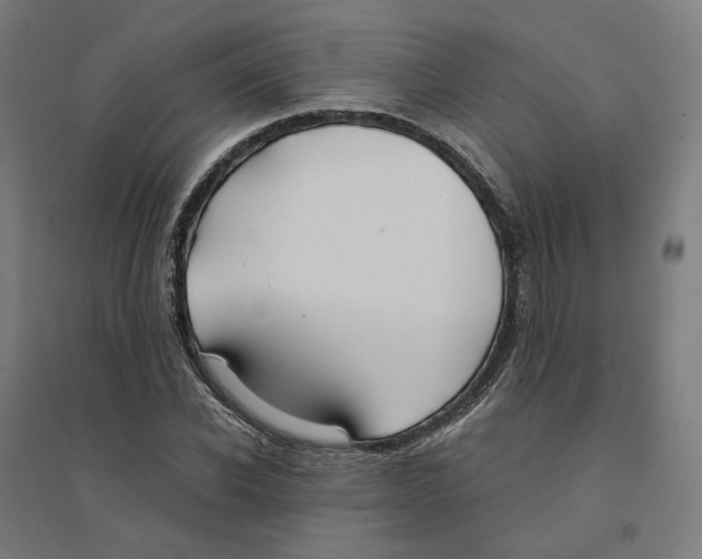 X0000094430926200712061110