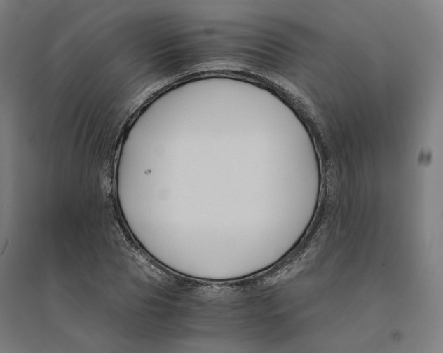 X0000094430929200712061111