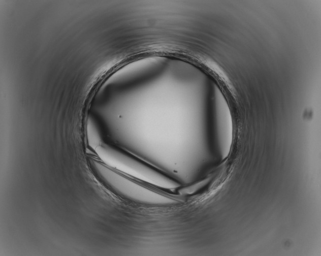 X0000094430930200712061111