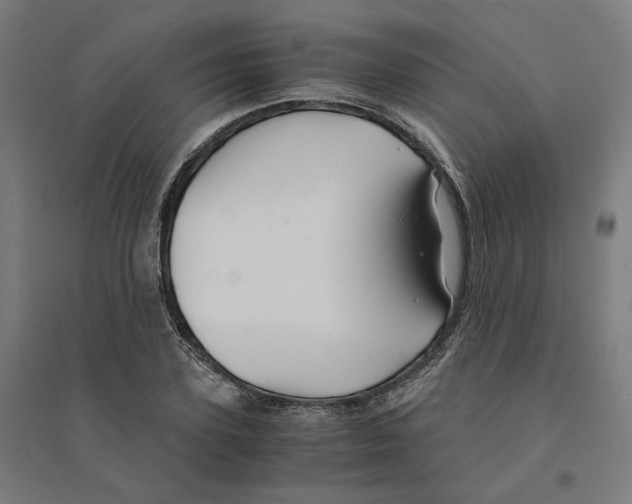 X0000094430931200712061111