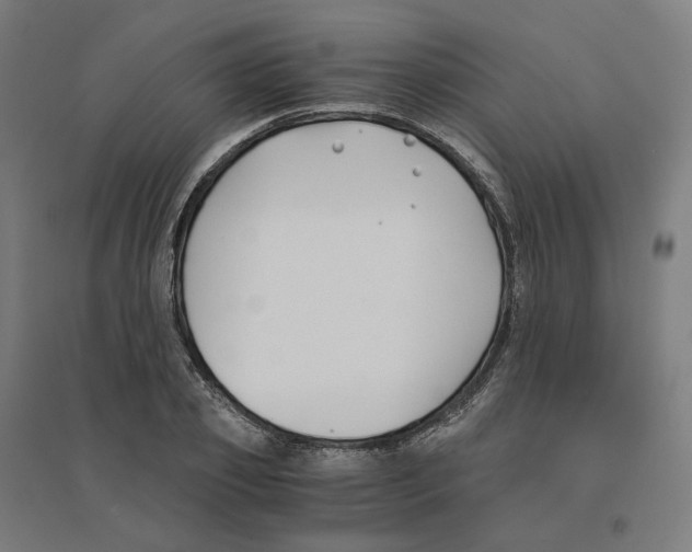 X0000094430933200712061111