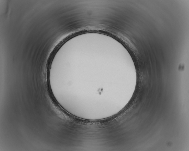 X0000094430934200712061111