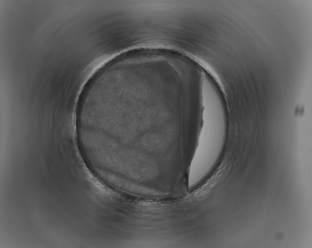 X0000094430935200712061111