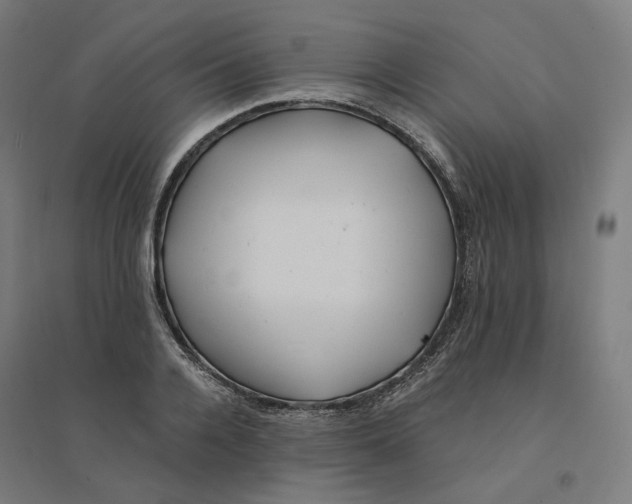 X0000094430936200712061111