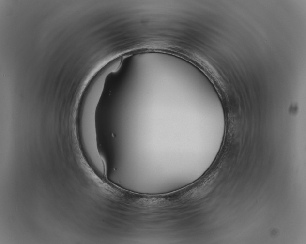 X0000094430939200712061111