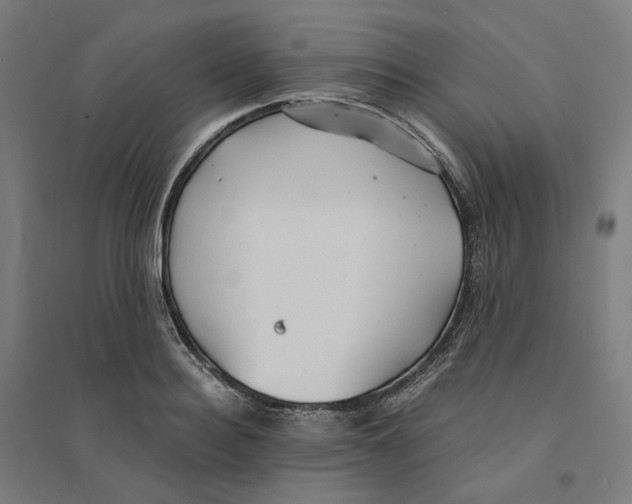 X0000094430940200712061111