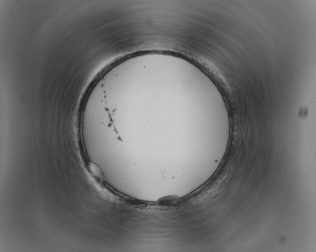 X0000094430942200712061111