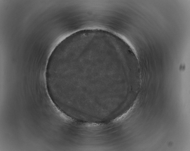 X0000094430943200712061111