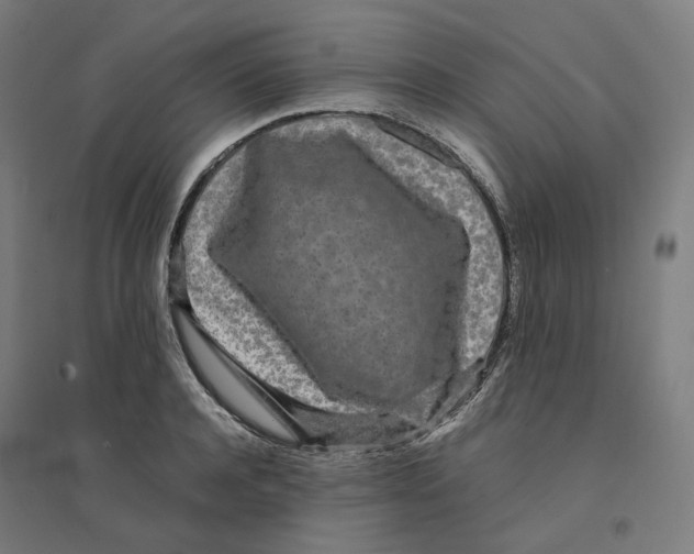 X0000094430944200712061111