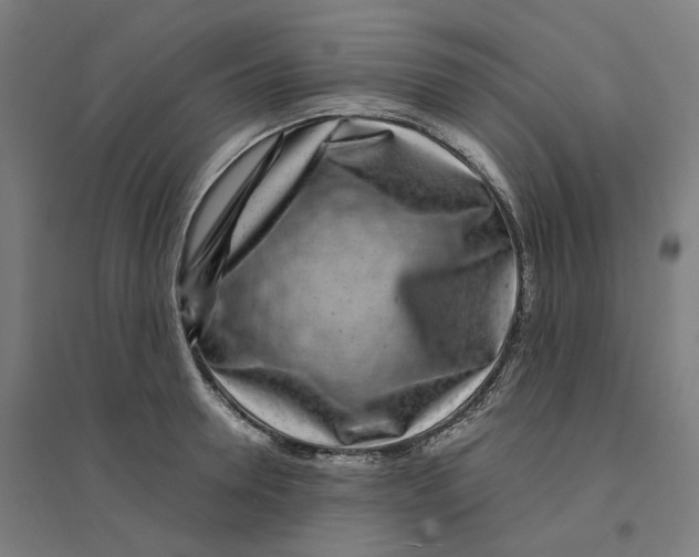 X0000094430946200712061111