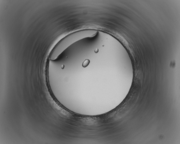 X0000094430947200712061111