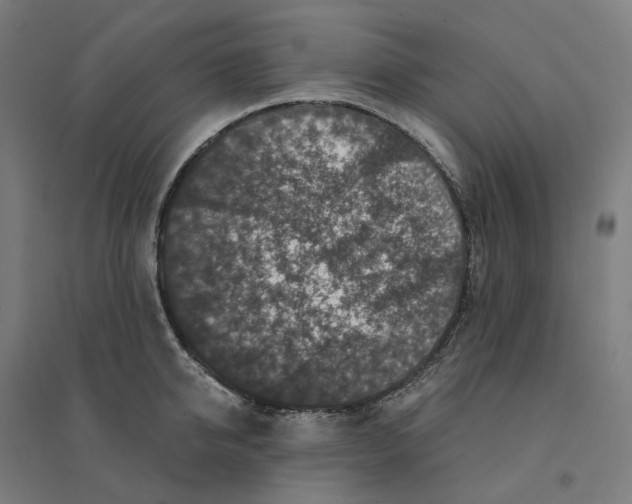 X0000094430950200712061111