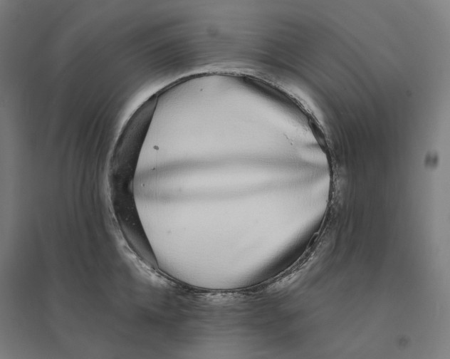 X0000094430952200712061111