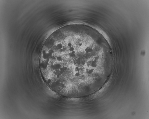 X0000094430953200712061111