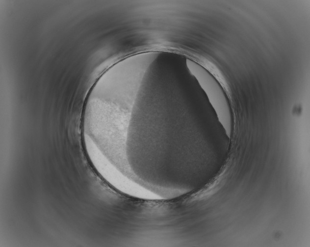 X0000094430954200712061111