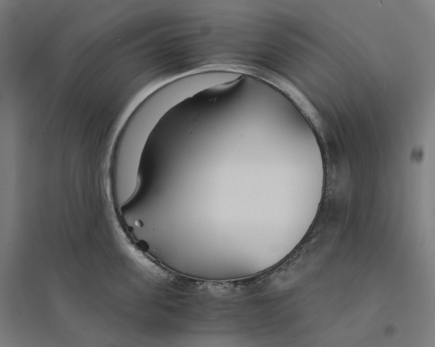 X0000094430955200712061111