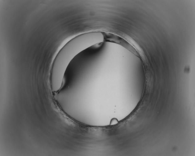 X0000094430956200712061111