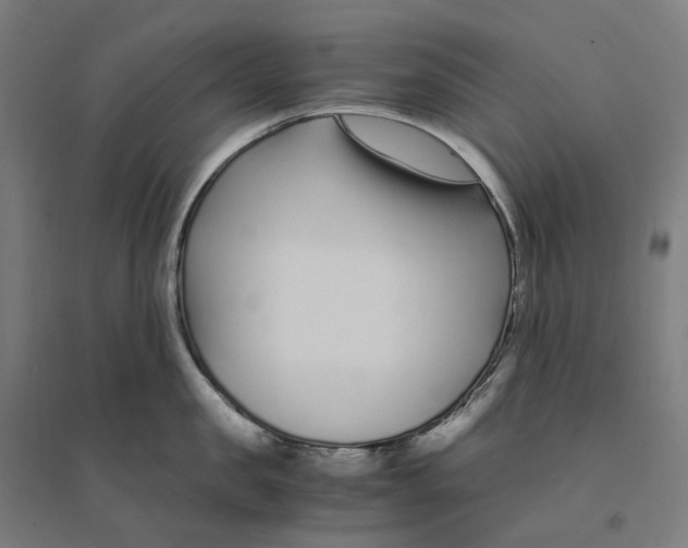 X0000094430957200712061111