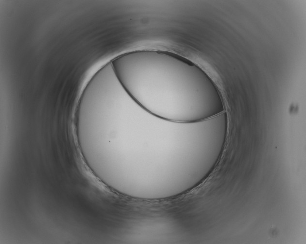 X0000094430960200712061111