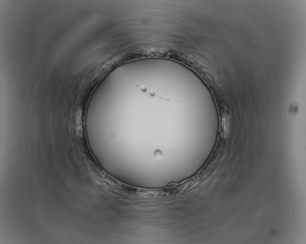 X0000094430963200712061110