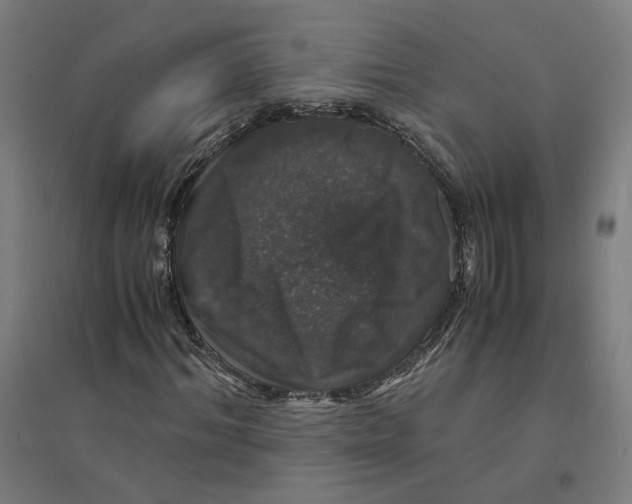 X0000094430964200712061110